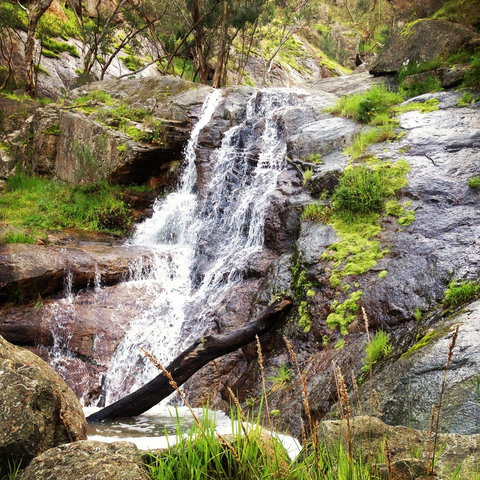 Salisbury Falls Walk - Attractions Melbourne 1
