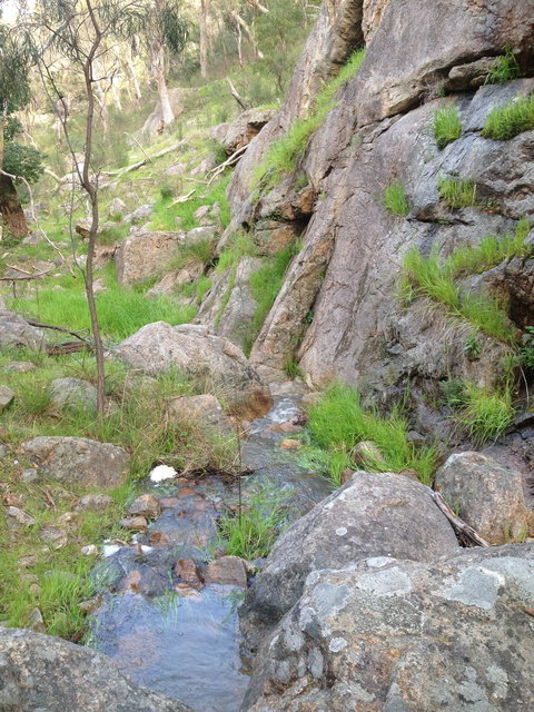 Salisbury Falls Walk - Attractions Melbourne 2