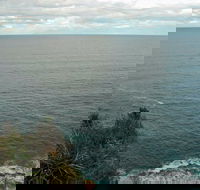 Snapper Point Lookout - Attractions Melbourne