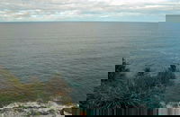 Snapper Point Lookout