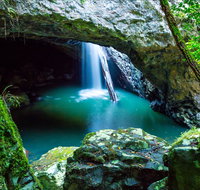 Springbrook - Attractions Melbourne