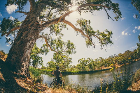 Sturt Gorge Recreation Park - Attractions Melbourne 0