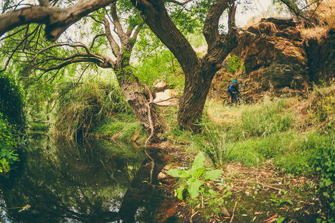 Sturt Gorge Recreation Park - Attractions Melbourne 1