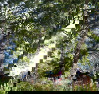 The Outlook Riding Academy - Attractions Melbourne