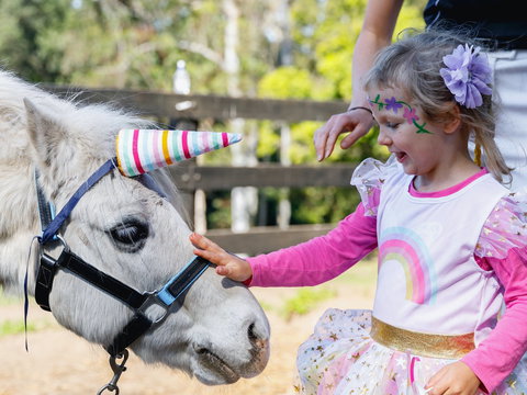 The Outlook Riding Academy - Attractions Melbourne 1