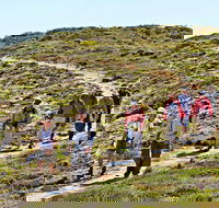 The Sole Walk at Hillocks Drive - Attractions Melbourne