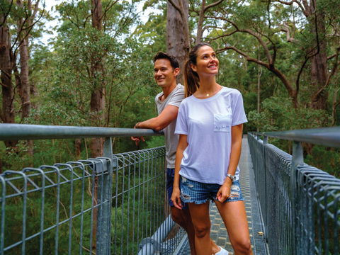 Valley Of The Giants Tree Top Walk - Attractions Melbourne 0