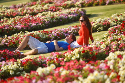 Victoria State Rose Garden At Werribee Park - Attractions Melbourne 1