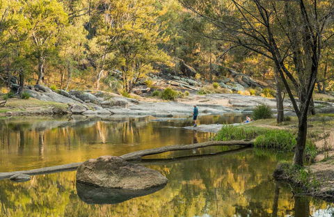 Warrabah National Park - Attractions Melbourne 0