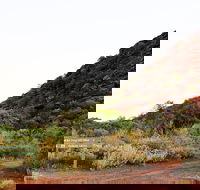 Whyalla Conservation Park - Attractions Melbourne