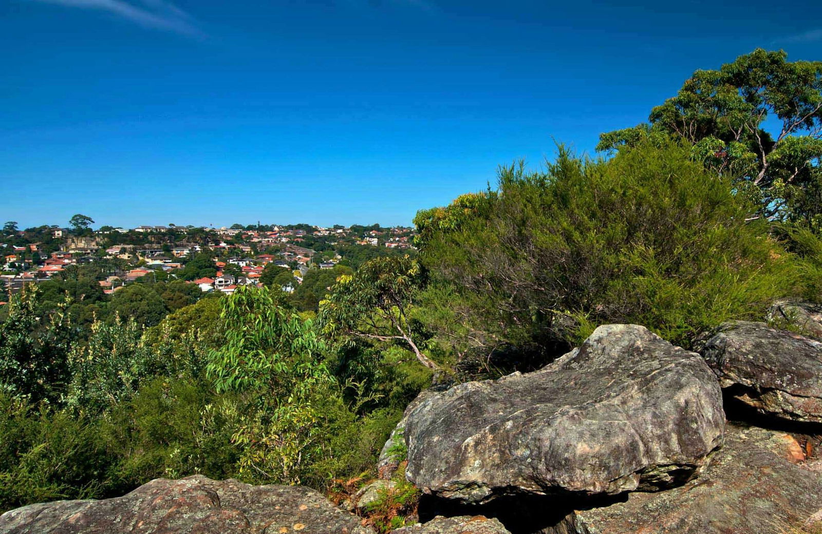 Earlwood NSW Attractions Melbourne