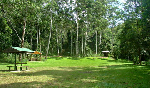 Woolgoolga Creek Picnic Area - Attractions Melbourne 0