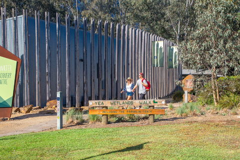 Yea Wetlands Walk - Attractions Melbourne 1