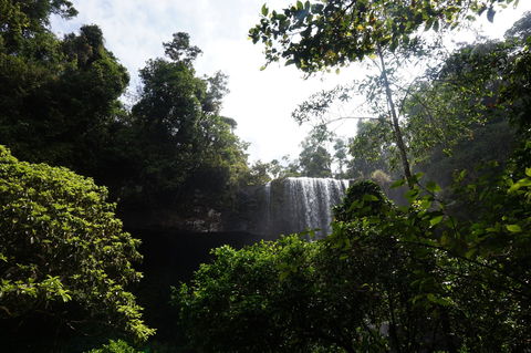 Zillie Falls - Attractions Melbourne 1