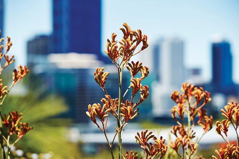 A Day In Perth - Attractions Melbourne 1