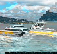 Apex Camps Magnetic Island Group Accommodation Activities and Events - Attractions Melbourne
