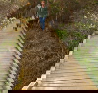 Balcombe Creek Estuary Boardwalk - Attractions Melbourne