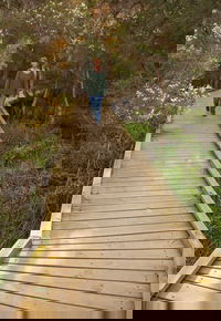 Balcombe Creek Estuary Boardwalk