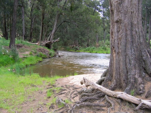 Bangadilly National Park - Attractions Melbourne 0