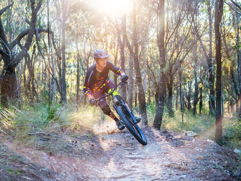 Bayview Conservation Area - Attractions Melbourne 0