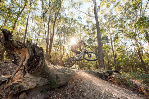 Bayview Conservation Area - Attractions Melbourne 1