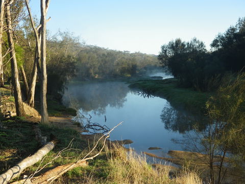 Bilya Walk Track - Attractions Melbourne 0