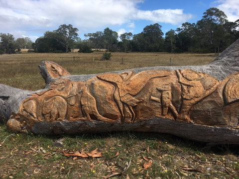 Bilston's Tree - Attractions Melbourne 1