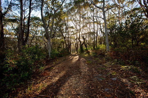 Booderee National Park: Munyunga Waraga Dhugan Walking Trail - Attractions Melbourne 0