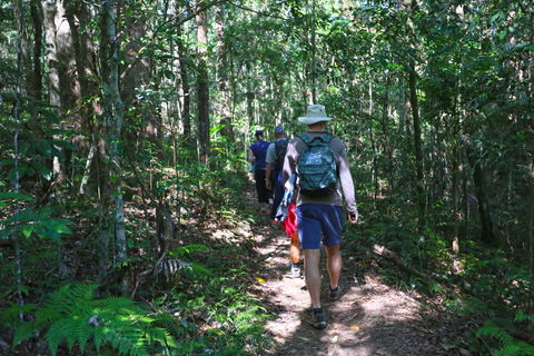 Booloumba Falls Walk, Conondale National Park - Attractions Melbourne 1