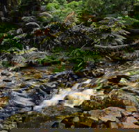 Budderoo National Park - Attractions Melbourne