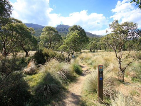 Bullocks Walking Track - Attractions Melbourne 2