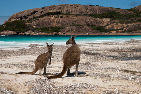 Cape Le Grand National Park - Attractions Melbourne 0