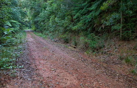 Cascade Mountain Bike Trail - Attractions Melbourne 0
