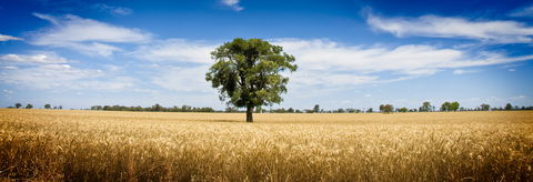 Coonamble - Attractions Melbourne 1