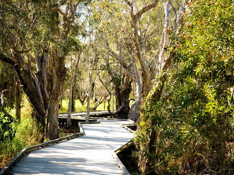 Eagleby Wetlands - Attractions Melbourne 1