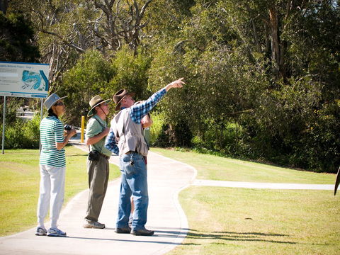 Eagleby Wetlands - Attractions Melbourne 2