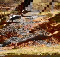 Freycinet Paintball and Campground - Attractions Melbourne