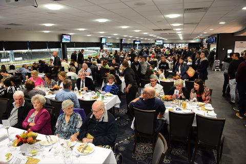 Geelong Greyhound Racing Club - The Beckley Centre - Attractions Melbourne 1