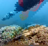 Geoffrey Bay Snorkel Trail - Attractions Melbourne