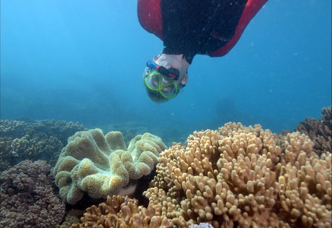 Geoffrey Bay Snorkel Trail - Attractions Melbourne 0