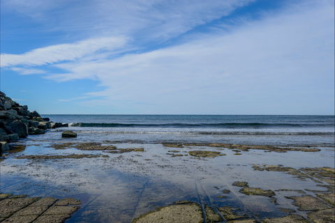 Gondwana Coast Fossil Walk - Attractions Melbourne 1