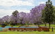 Governor Phillip Park - thumb 0