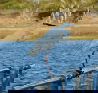 Groper Creek - Attractions Melbourne