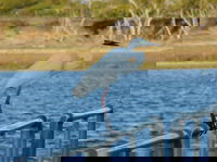 Groper Creek