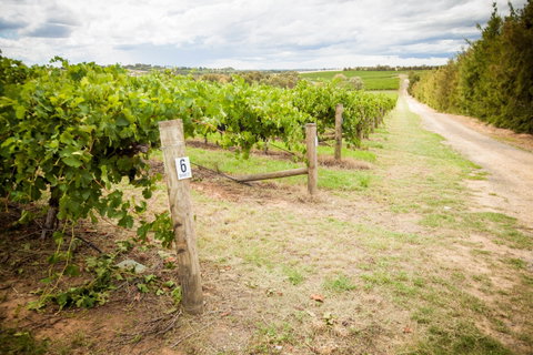 Grove Estate Wines - Attractions Melbourne 0