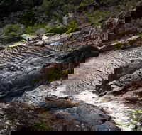 Halls Falls - Attractions Melbourne