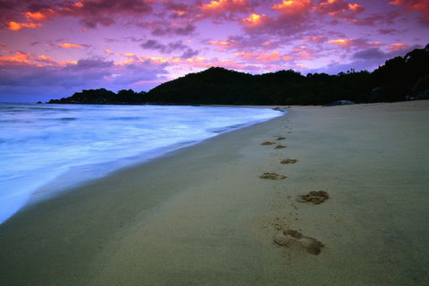 Hinchinbrook Island National Park - Attractions Melbourne 2