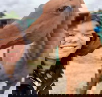 Horses Teaching Humans - Attractions Melbourne