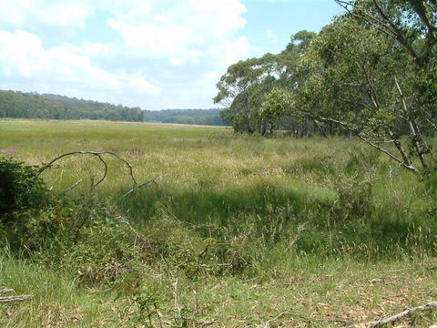 Hume And Hovell Walking Track - Attractions Melbourne 2