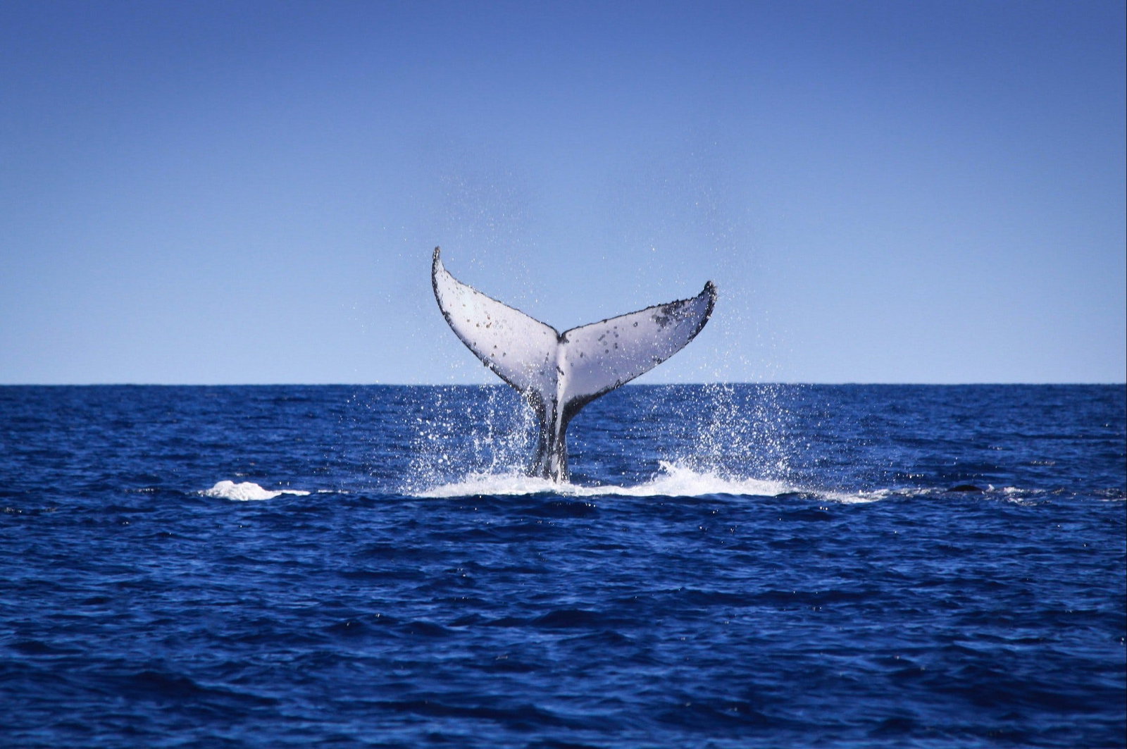 Exmouth WA Attractions Melbourne